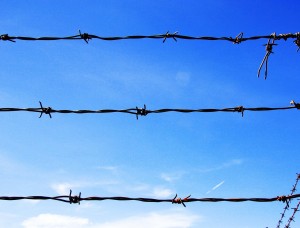 Barbed wire